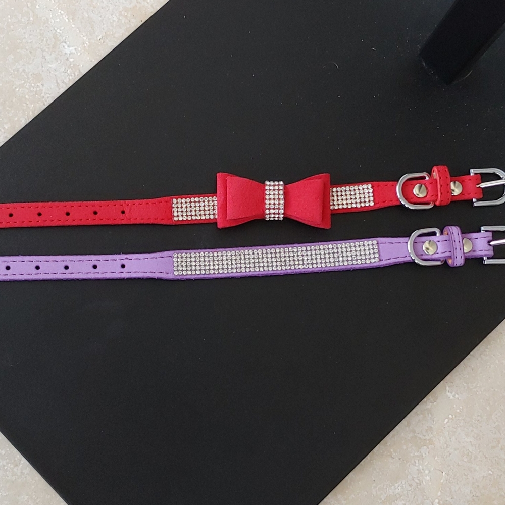 Puppies or Kittins Collars